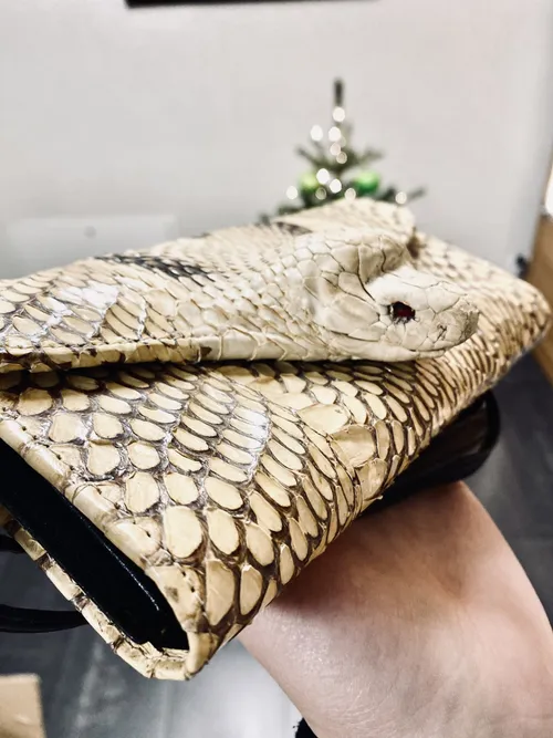 322901581 856485068893825 2575700076852311199 n