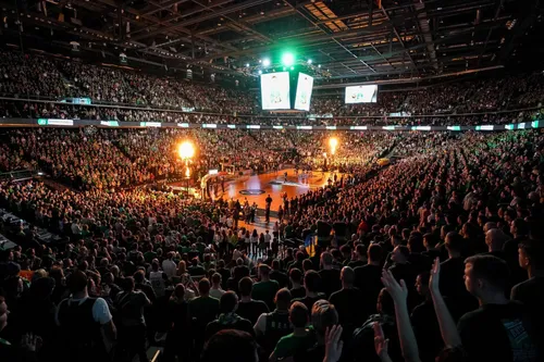 Kauno „Žalgiris“ - Belgrado „Partizan“, žalgirio arena