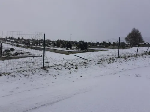 Vainatrakio kapinės / SĮ „Kapinių priežiūra“ nuotr.