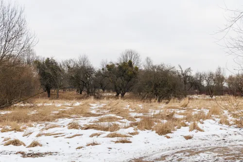 Sklypas prie Botanikos sodo