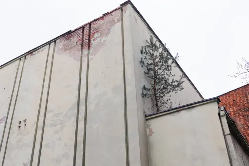 Buvęs kino teatras Laivsė