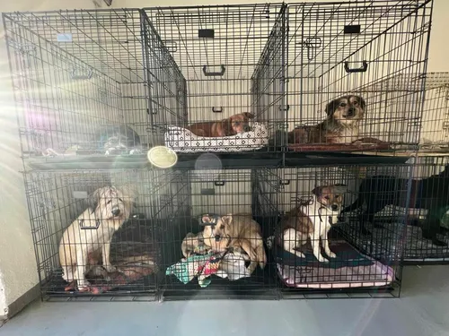 a0d3ac4af1f20984827d6b9e42031775