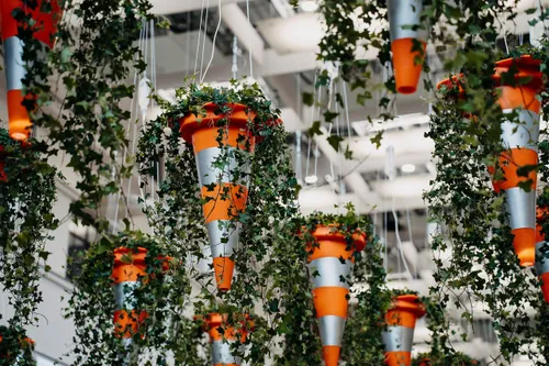 b347fe1b3046bd3222d066bedcb3b6c4 scaled