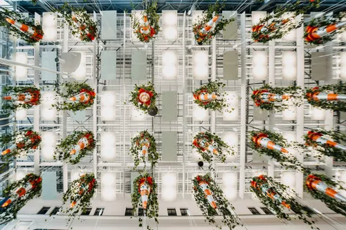 fd586cd86a02c1e8148118827d47aec1 scaled