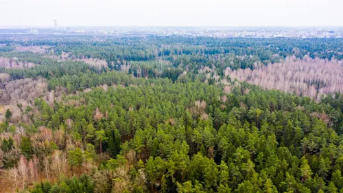 61f572ccab4a2d0f3279a0382dfc5ecc scaled e1685032921896