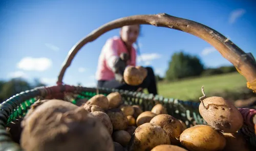 950a894f6358cdc3184f478b1cc9ab93