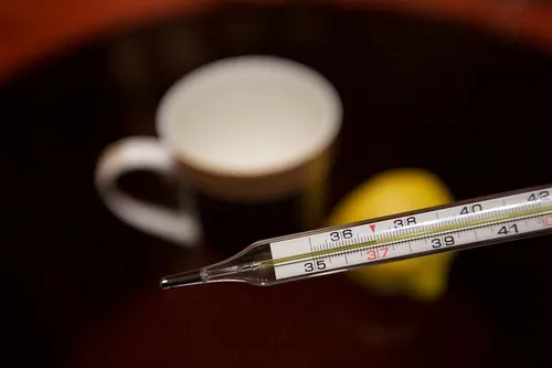 Termometras, peršalimas, gripas