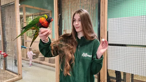 c70c899beacebd82ea61cd5b087c6206