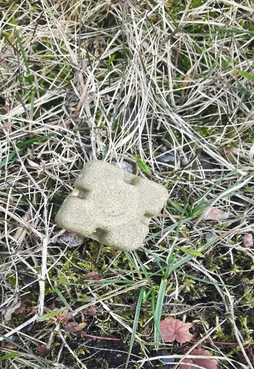 e11096b8f49e461c2fcffd93e6d51cb5