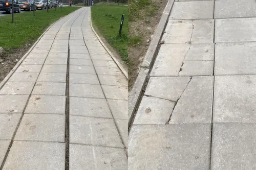 92995776071a02531b4e35a069940f03