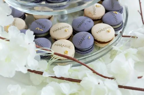 0b1ee6b59f241753837fa78a83aa8a55 scaled