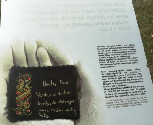 c6001302a3135c6d44994df0837b1ddb rotated e1686906712742