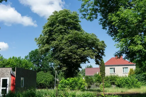 2be4dee706d09fff55aebf845a58021e