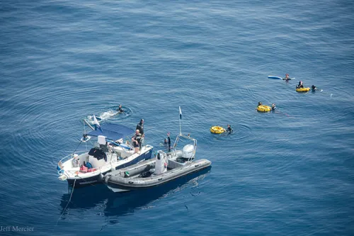 E. Trečiakauskaitė laisvojo nardymo varžybose Korsikoje