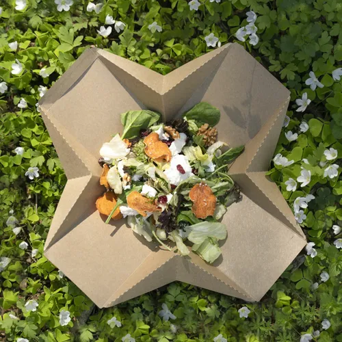 913f961633d08306b547bb4d7bcea36b