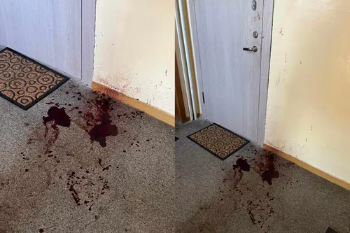 e5c30fab3e15a09aa5588b4156f1343a