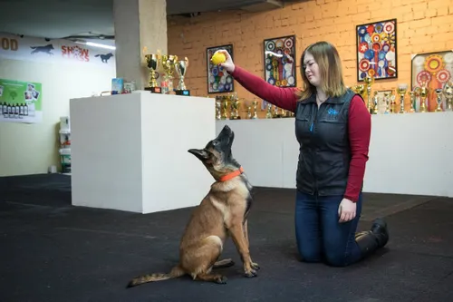 f4a8c670e45ebc83b971838922fc36d1