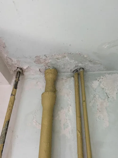 Studentams prieš mokslo metus tenka susidurti su realybe: kai kurių bendrabučių sąlygos pribloškia