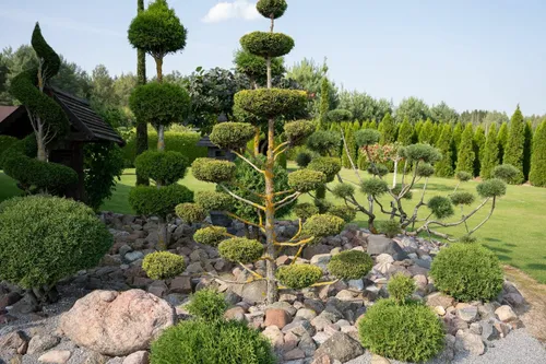 Kaunietis kieme sukūrė stebuklą