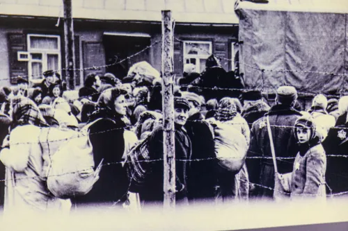 IX forto ekspozicija