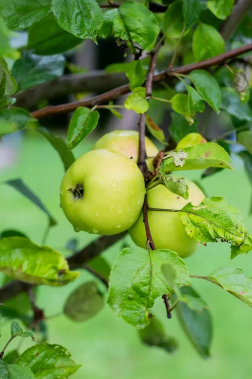 79850e2acfd7a948473bc6c1716f6f83