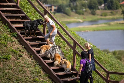 „Iki ėjimo varžybos“ Kačerginėje