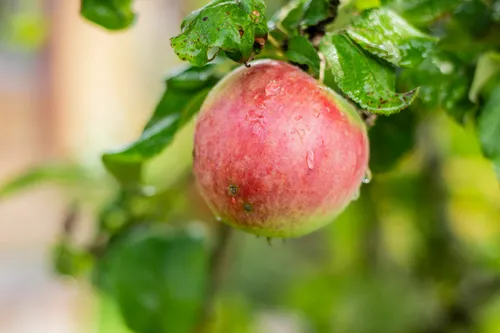 e39d0bbc56d88f6a16eef1a937774566