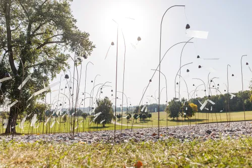 IX forto ekspozicija