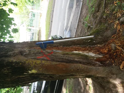 4c129b2475d522f887d45bde6d482264 scaled