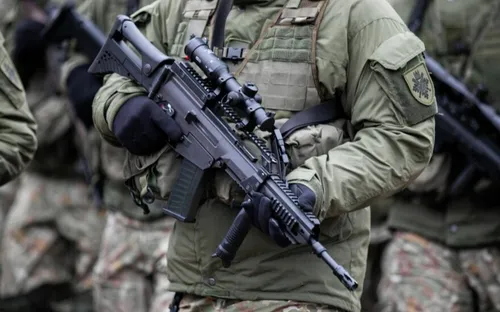 Lietuvos kariuomenė, karys