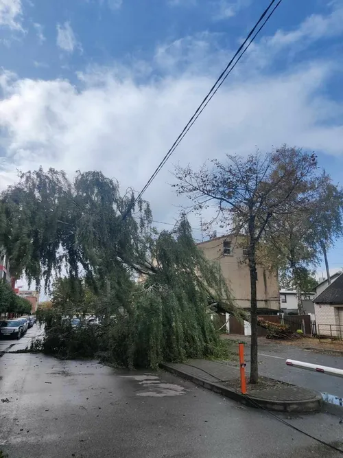 d3e8c7421ce7be7edcdc606fba189898