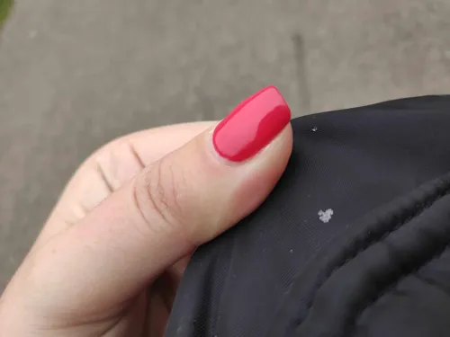 d49ed69fe694b6b0d17a002c104a387e