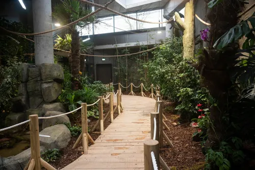 37738aab3fa25a375481dca20f1bb80c