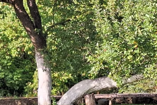 81f6081a3ef42ec0f46bcbef2da1db54