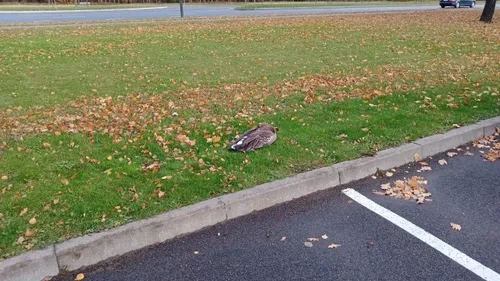 93a4bd561250793bbac12eb93afa0f1f scaled