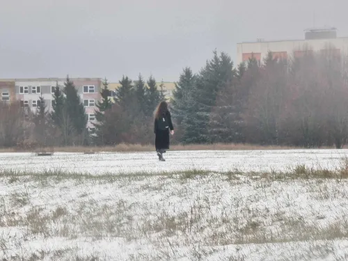 ad8ab54266e7cac04b76068ed8b1cef2