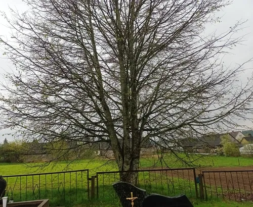 b62b3d4dd6de48a0f0a3a7128940cfa9