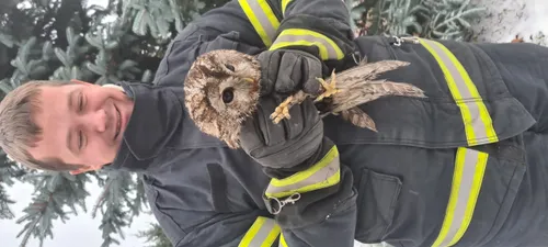 03ec7bb347558a3c6d9fae971361c0fb scaled