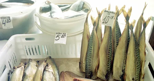 255f602cc3abf6259d565aa4209fc7fa