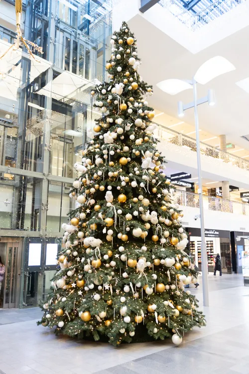 44cd4f223e51f18d8aa9f7cbe243f31a