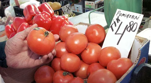 97f5b3bf9c31397554ee7efd04d3cf76