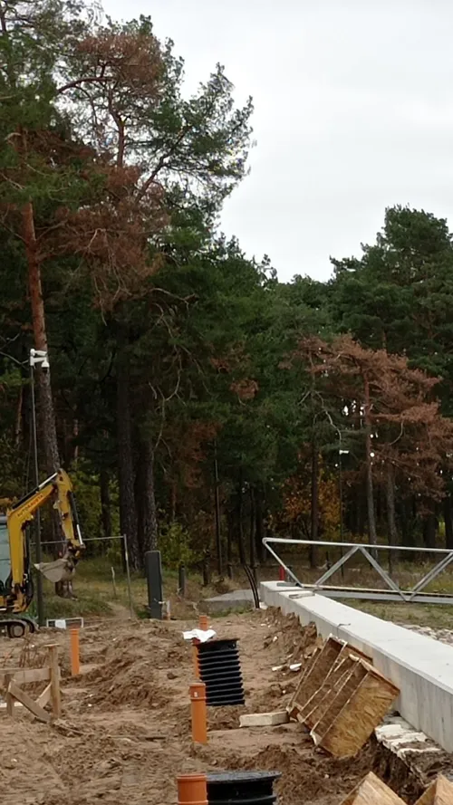 12464b803f116464c957dfacb772bf46