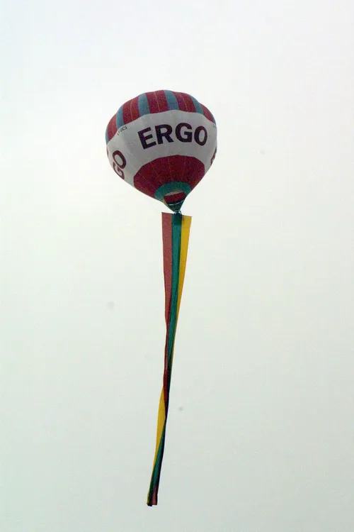 Rekordinė vėliava / M. Patašini nuotr.