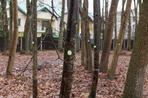 Parkelis Šilainiuose / R. Tenio nuotr.