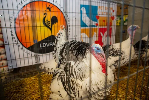 bdaceb9b0278d68d647c1e1729856d6e