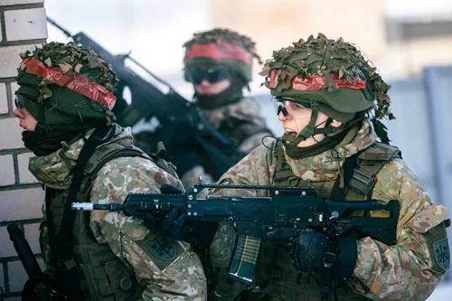 Lietuvos kariuomenė