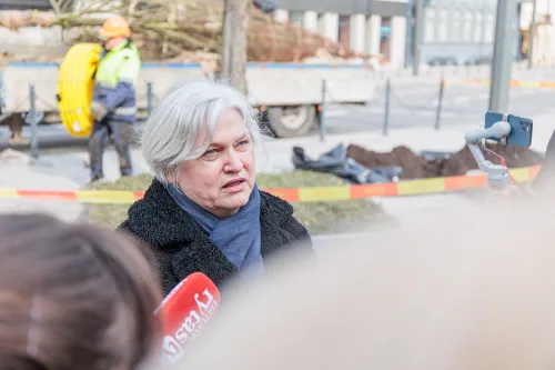 Radeta Savickienė , Sodinamos liepos Laisvės alėjoje / R. Tenio nuotr.