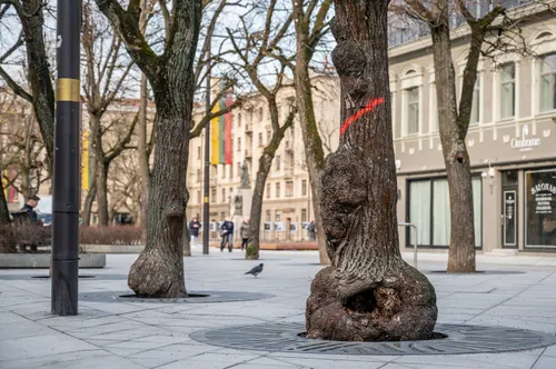 af7282a5c6690ee270621b26779a7050 scaled