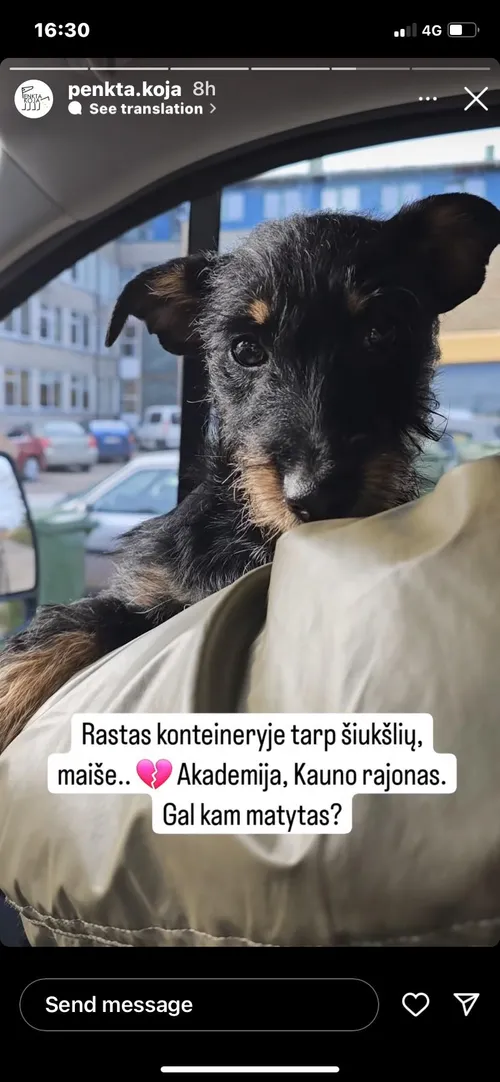 21f3b1daab0f3f1ac65bf4d1bc04dc42