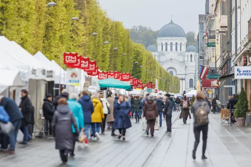 Pavasario mugė Laisvės alėjoje / R. Tenio nuotr.